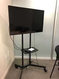 [#H16-121] 40inch Vizion TV Monitor