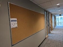 [#F1-221] Corkboard, Wall-Mounted, 120" x .5" x 47"