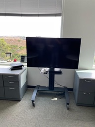 [#H16-24] TV W/STAND