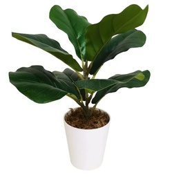 [#J5-20] 4in Foliage Assorted