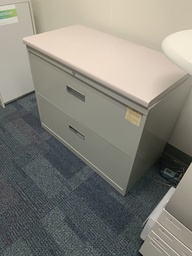 [#D6-59] file cabinet 2 drawer lateral