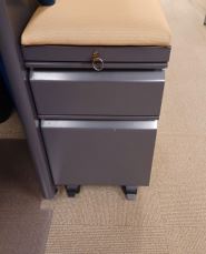 [#D16-10] Mobile Peds