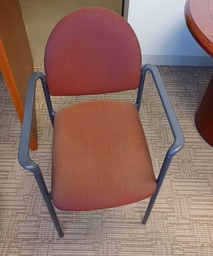 [#B8-226] Guest Rust