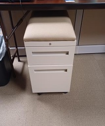 [#D16-301] Mobile Peds