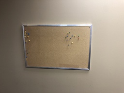 [#F1-9] Cork Board