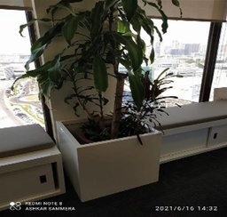 [#J5-118] Large White Plant Pot &amp; Plant