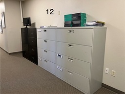 [#D12-12] Tall Filing Cabinet
