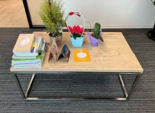[#C3-11] Coffee table