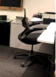 [#B13-81] Task Chair with Arms