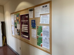 [#F1-86] Corkboard