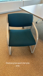 [#B8-32] Green Guest