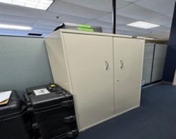 [#D19-10] 2-Door Metal Cabinet