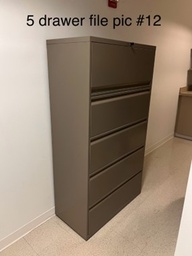[#D12-12] 5-Drawer File Cabinet