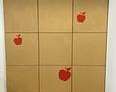 [#F1-205] 80.5 H X 48.5 W Bulletin Board