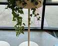 [#J5-226] 45 H X 17 D Planter (short)