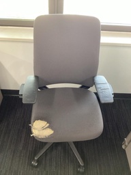 [#B13-35] Amia Chair (Not Damaged)