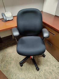 [#B13-808] Herman Miller Ergon Black Task Chair