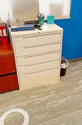 [#D12-5] 5-Drawer File Cabinet