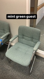 [#B8-59] Mint Green Guest