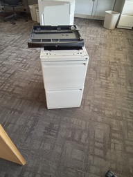 [#D6-Item ID 004680] Metal 2 drawer filing cabinet