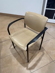 [#B8-34] Guest Chair - gold Player