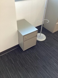 [#D16-57] Mobile Ped