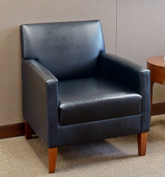 [#B12] Black Lounge Chair