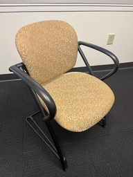 [#B8-40] Guest Chair - gold floral Aly
