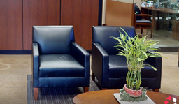 [#B12-6] Black lounge chair