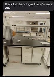 [#E4-215] Black lab bench Gas line wheels wood