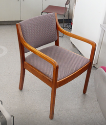 [#B9-4] Checkered guest chair with arms