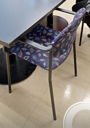 [#B8-10] Paisely guest chairs with arms