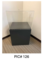 [#D20-126] DISPLAY CASE