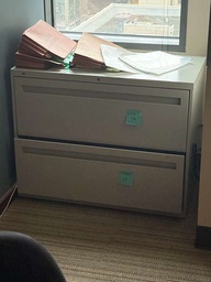 [#D6-45] 2 DRAWER LATERAL FILE CABINET ( LIGHT GREY)