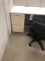 [#D16-15] 2 Drawer Filing Cabinet