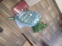 [#J5-181] Christmas tree