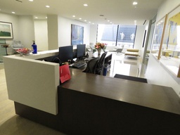 [#E5-52] Reception Desk