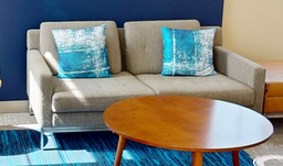 [#B6-6] 2 seat grey couch