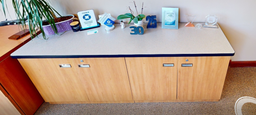 [#D20-10] 2 door cabinet