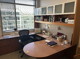 [#E9-11] Wooden Private Office