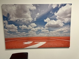 [#J3-7] orange field with cloudy blue sky