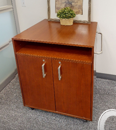 [#D20-9] 2 door mobile cabinet