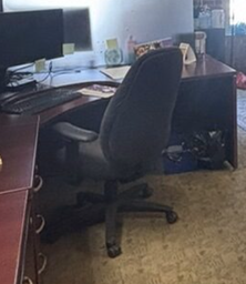 [#B13-2] Task Chair, assorted