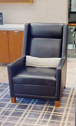 [#B12-1] Lounge Chair