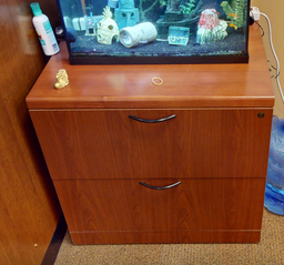 [#D5-7] 2D lateral filing credenza