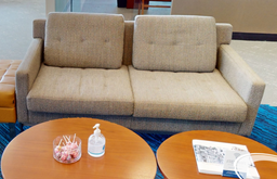 [#B7-6] 2 seat grey couch