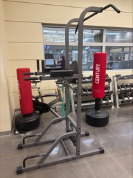 [#L1-10] Mark Fitness Dip/Pullup/Leg Raise Stand XM-4432