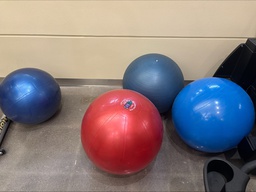 [#B11-4] Exercise Balls