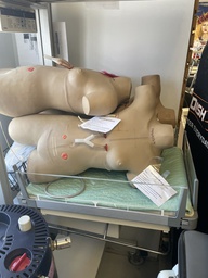 [#L1-22] Surgical Sally Bandaging Simulator