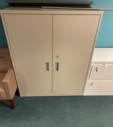 [#D21] Tall Metal Storage Unit